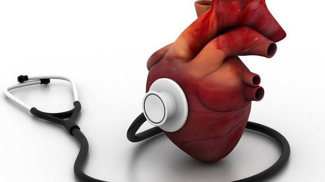 Gambar Jantung - Mengenal Jantung, bagian-bagian dan fungsinya pada tubuh manusia.