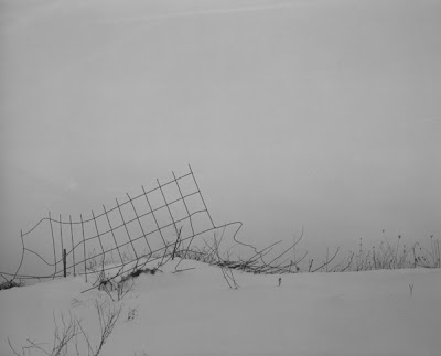 heavy blizzard with only ragged fence visible