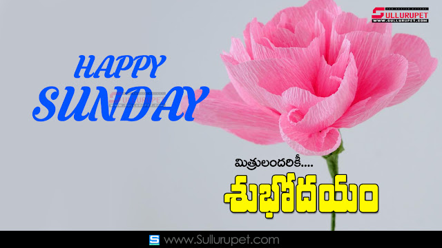 Happy Sunday Images Best Telugu Good Morning Quotes Pictures Nice Telugu Quotations Images