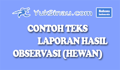 Contoh Fakta Dan Opini Beserta Gambarnya - Contoh Su