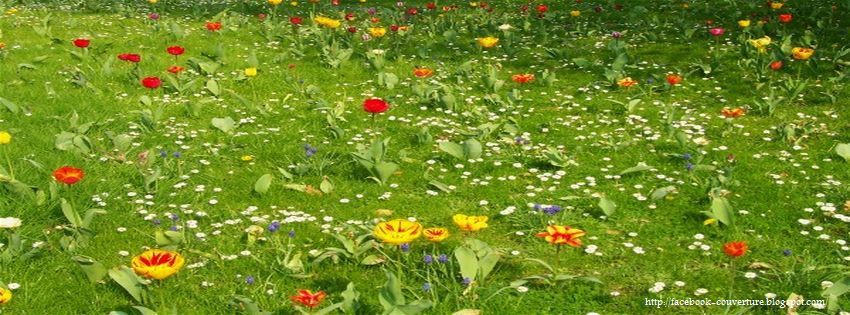 Voici des belles images de printemps personnalisÃ©es pour dÃ©corer ...