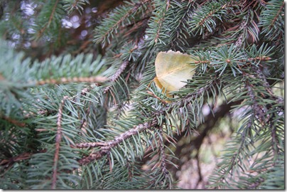 DSC01751
