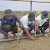 Selamatkan Pesisir Kerawang, Bio Farma Gandeng Forum CSR Tenant Indotaisei Tanam Mangrove di Pantai Muarabaru