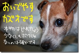 今日カズ１０１１１０　４