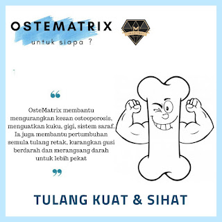 Siapa Yang Perlukan Ostematrix ?