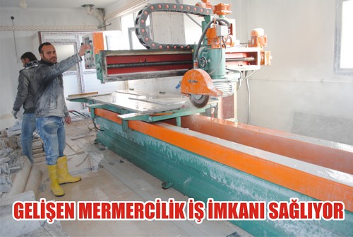 gelişmekte olan iş kolları