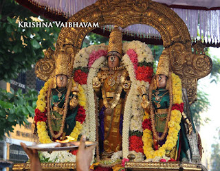 Narasimhar Swamy,Theliya Singar,Parthasarathy Perumal,Thiruvallikeni