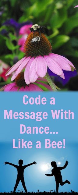 Dance in Code Like a Bee