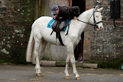 Grubby white horse!