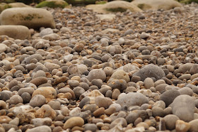 fossil hunting on the Jurassic Coast Branscombe