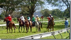 Horse Racing_08 16 14_0018