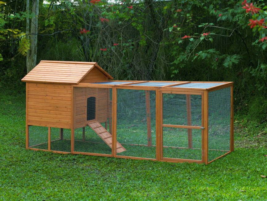 How To Build A Chicken Coop: Awesome Chicken Coops - How ...