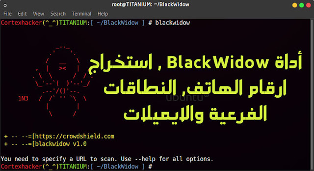 أداة BlackWidow , استخراج ارقام الهاتف, النطاقات الفرعية والايميلات