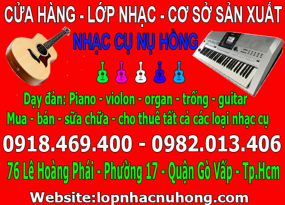 nhac cu hong nhung 3