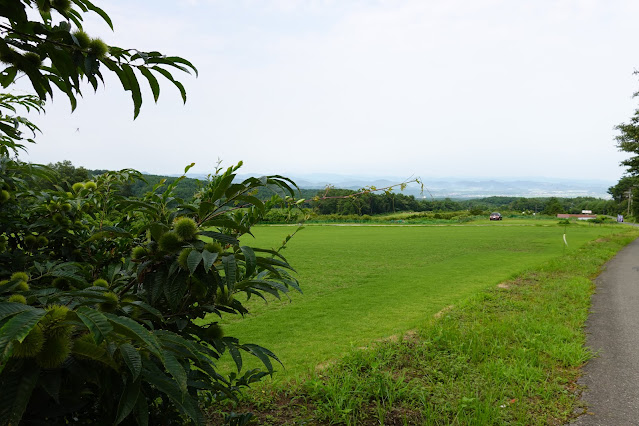 鳥取県西伯郡大山町赤松　地頭ブルーベリー農園　農道