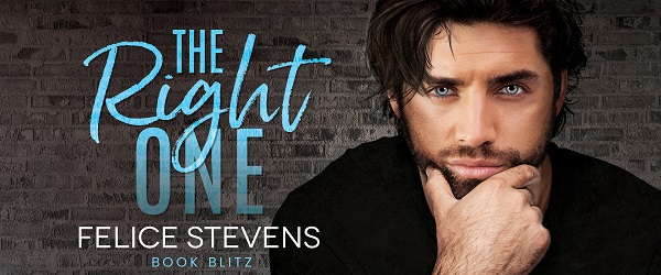 The Right One by Felice Stevens Book Blitz