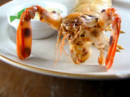 Steamed mantis shrimp with beurre blanc