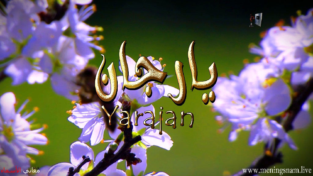 معنى اسم, يارجان, وصفات, حاملة, وحامل, هذا الاسم, Yarjan,