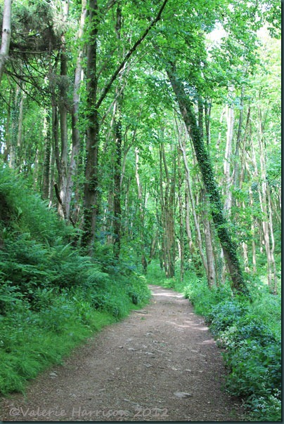 90-path