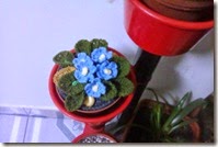 Crochet African Violets 5