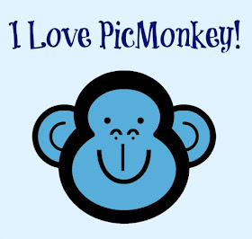 Picmonkey review