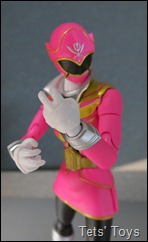 Gokai Pink (33)