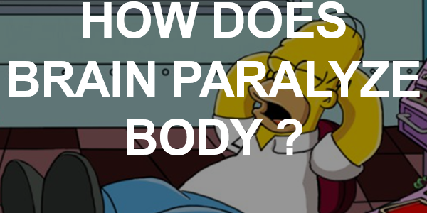 How Does The Brain Paralyze The Body During Sleep?