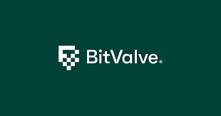 BitValve Yeni Airdrop ICO Dağıtım Görevleri
