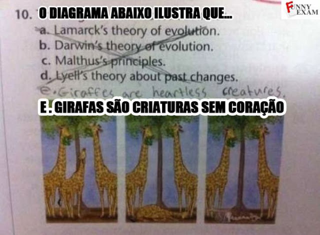 O diagrama e a teoria da evolução