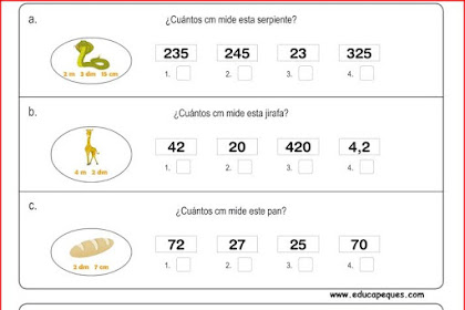Ejercicios De Medidas De Longitud Para Niños De Tercer Grado