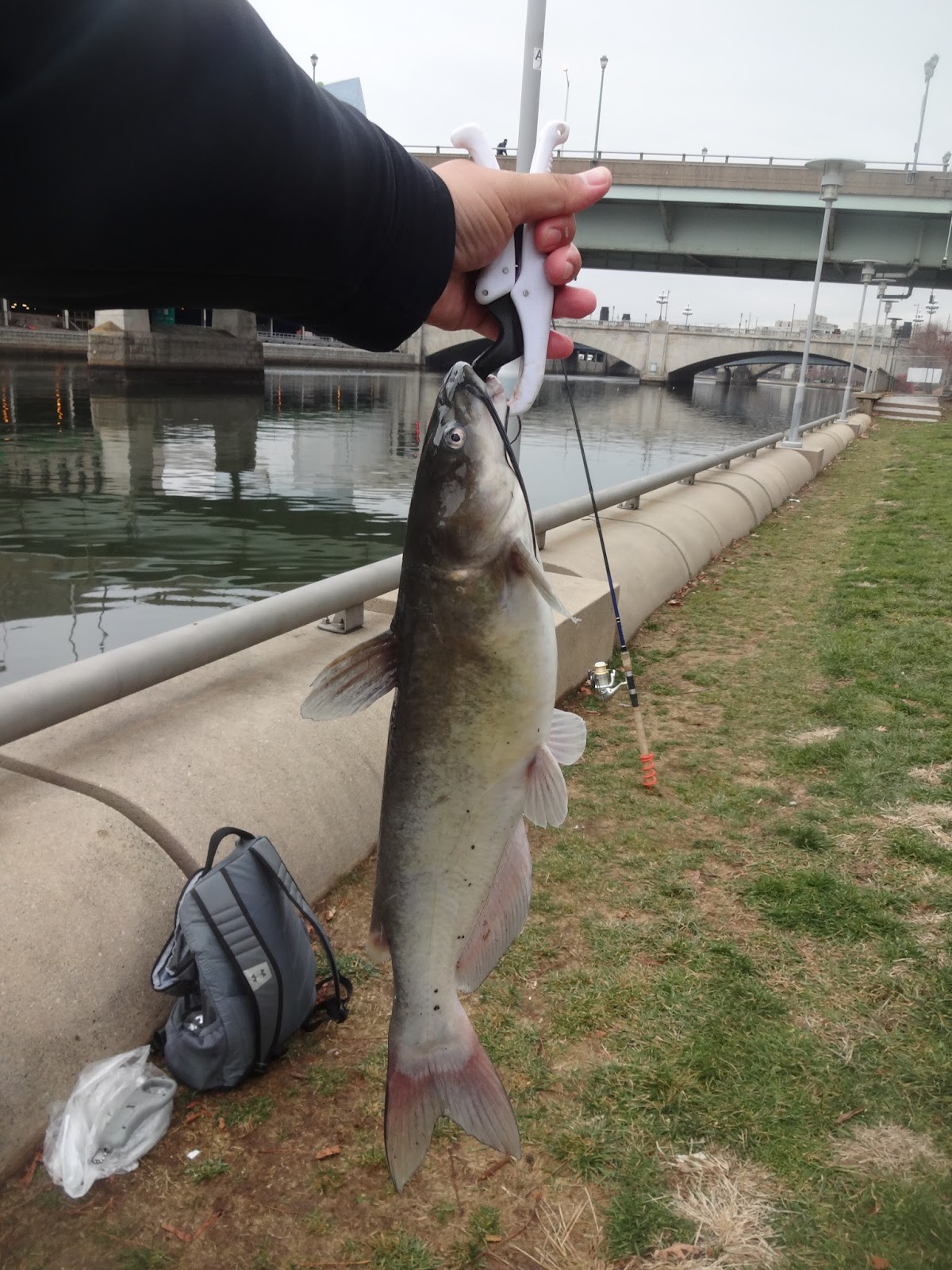 Extreme Philly Fishing: January 2017