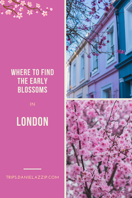 london cherry blossoms