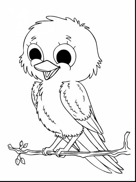 Outstanding Baby Animal Coloring Pages Girls With Free Coloring Pages  Animals And Free Coloring Pages Animals