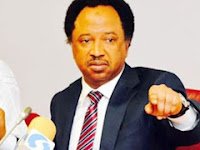 Zaben Kaduna: Kona ci ko na fadi a soke zabennan kawai>>Sanata Shehu Sani