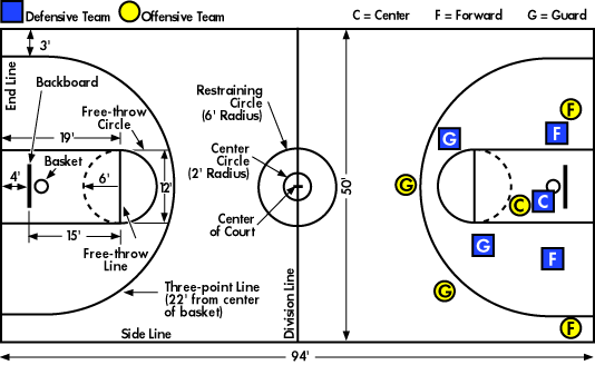 Ukuran Lapangan Basket Standar Internasional (Edisi Bola Basket Bagian 3)