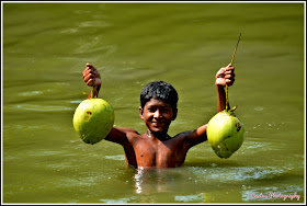 Green Coconut - Nijhum Dwip, Nijhum Dwip Sea Beach, Virgin Island Sea Beach, Nijhum Island Hatia, Trip Navigation Bangladesh, Nijhum Dwip Travel Guide