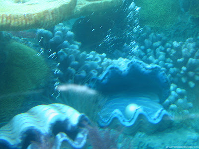 Finding Nemo Submarine Voyage Disneyland ride clams