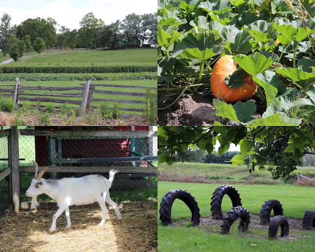 mccully hill farm