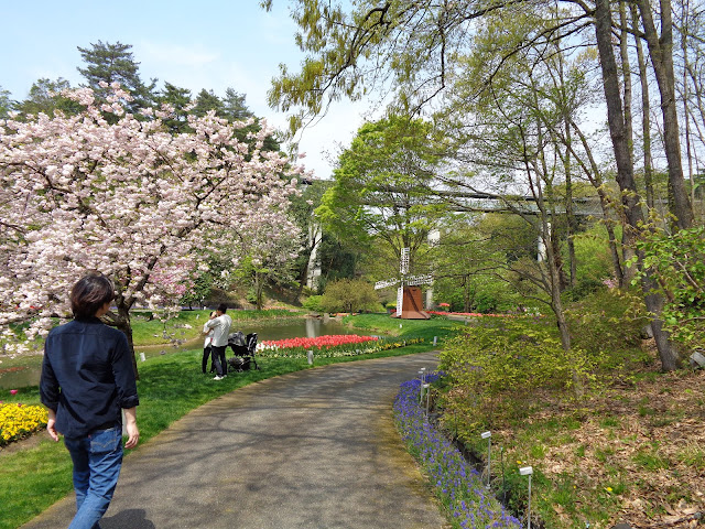 花の谷の八重桜が満開
