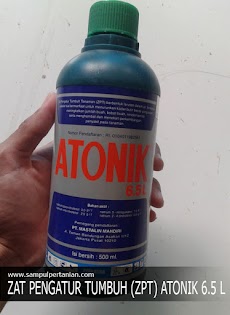 Zat Pengatur Tumbuh ATONIK 6.5 L (Bahan Aktif, Manfaat dan Dosis penggunaan)