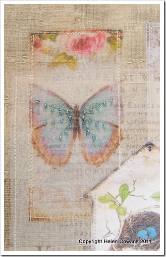Nature Study close 4