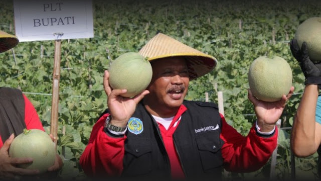 Plt Bupati Nganjuk, Marhaen Djumadi, memamerkan buah melon yang dipanen dalam kegiatan panen raya melon di Dusun Banaran, Desa Demangan, Kecamatan Tanjunganom, Sabtu 24 September 2022