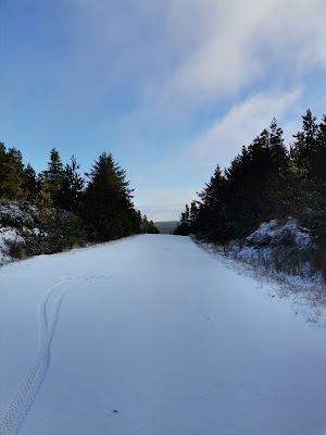 Laois MTB