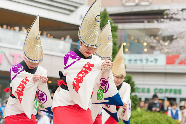 阿波踊りの本場徳島の阿呆連と姉妹連、江戸っ子連の女性の奴踊り