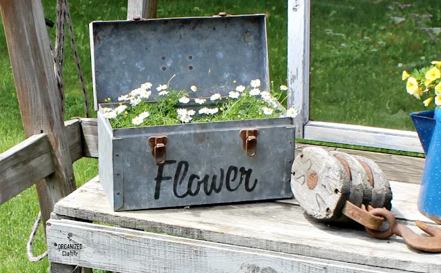 Stenciled Galvanized Tool Box with Annual Baby's Breath #stencil #oldsignstencils #containergarden