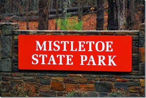 Mistletoe Sign