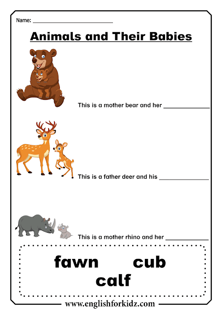 Baby animals - English ESL worksheets