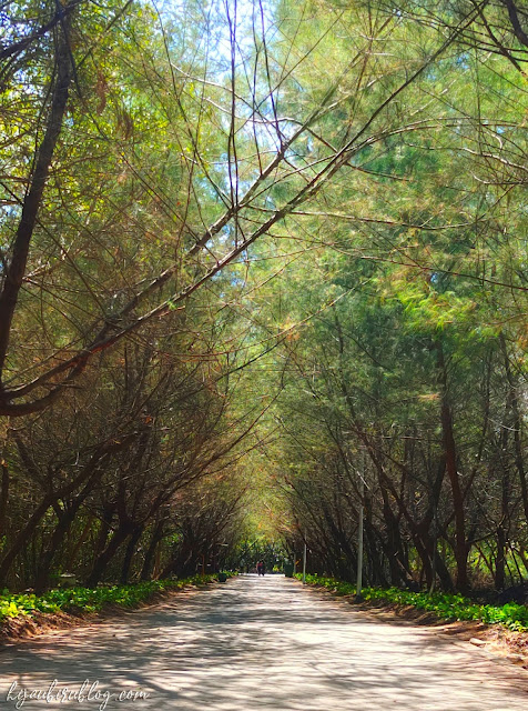Jalan ke Kebun Raya Mangrove Gunung Anyar