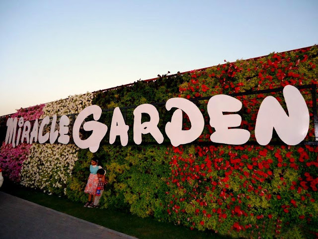 The Miracle Garden Dubai