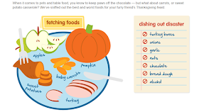 Infograph showing good and bad Thanksgiving foods for dogs